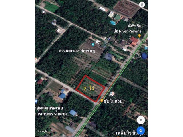 ขายที่ดินอัมพวาแม่กลอง ติดถนนลาดยาง 2ไร่