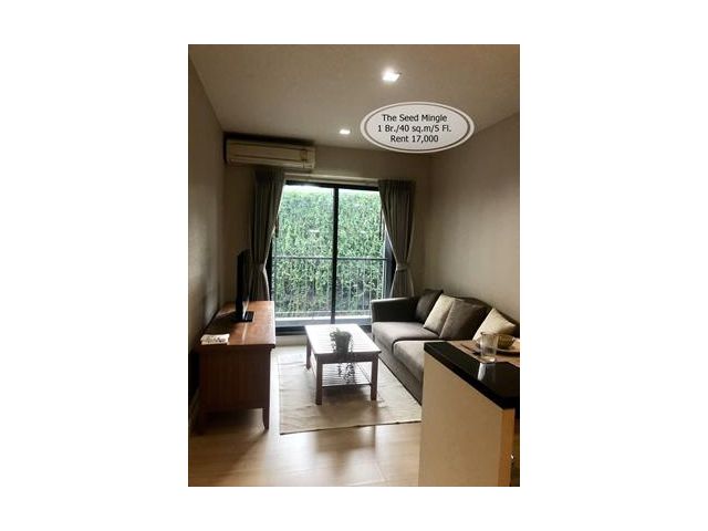 เช่า- The Seed Mingle /1 ห้องนอน/ชั้น 5/ 40 ตร.ม/ เช่า 17,000