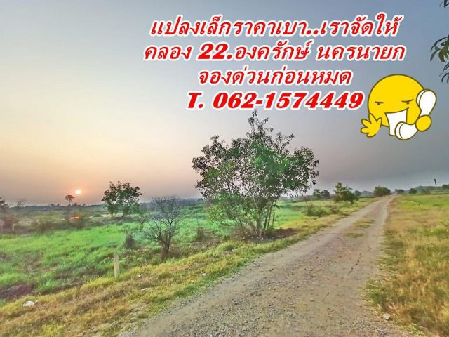 4.แปลงสุดท้าย สด,ผ่อนได้  50.ตร.ว ราคาเบาหวิว T.062-1574449