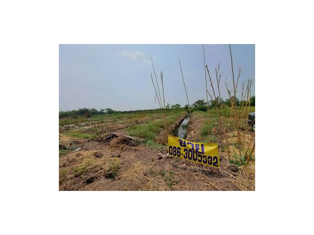 ที่ดินเปล่า ตำบลไทรใหญ่ อำเภอไทรน้อย จังหวัดนนทบุรี