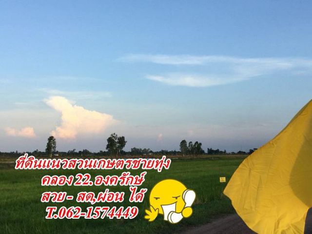 ที่ดินแนวสวนเกษตรชายทุ่งคลอง 22.สด,ผ่อน สบายใจ  T.062-1574449