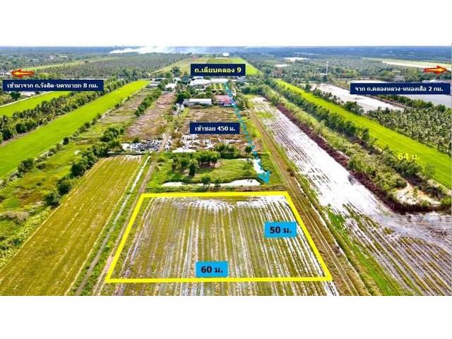 ที่ดินคลอง 9 หนองเสือ ปทุมธานี เนื้อที่ 2 ไร่