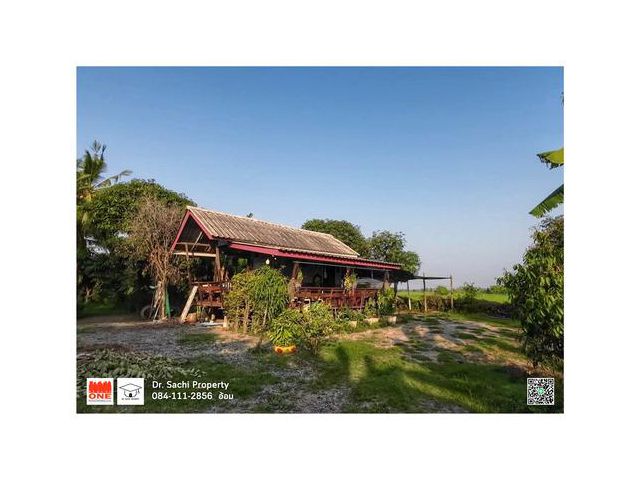 ขายบ้าน สวนผลไม้ พร้อมที่ดิน 5-1-67 ไร่  อ.บางระจัน จ.สิงห์บุรี