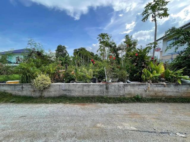 ด่วนที่ดินใกล้ไฟแดงหาดวอนนภา 66ตรว./ 1.5ล้าน ต.แสนสุข อ.เมือง จ.ชลบุรี -