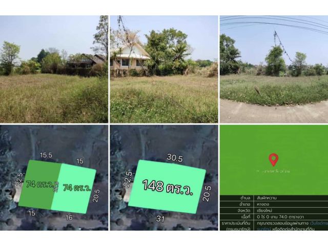 ขายที่ดินสันผักหวาน 148 ตร.ว. อ.หางดง เชียงใหม่