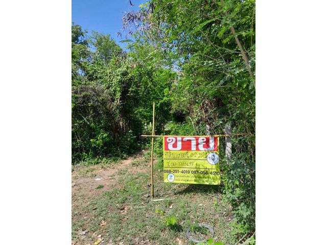 ขายที่ดินสวย ติดถนนเดินทางสะดวก หน้ามหาวิทยาลัยราชภัฏลำปาง