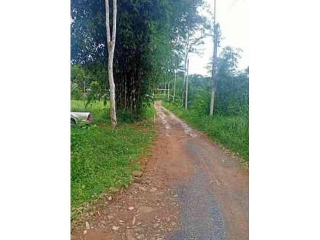 ขายที่ดิน3ไร่ม่าหนิกฝั่งเขื่อน
