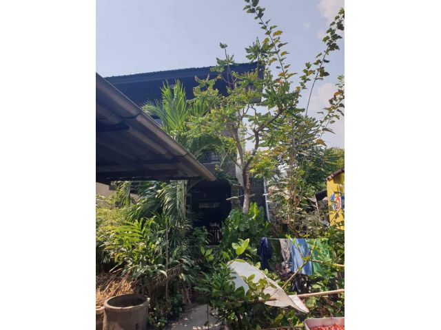 ที่ดินพร้อมบ้าน 127ตรว ในคูเมือง 25ล้าน