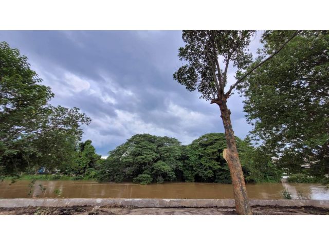 ขายที่ดินเปล่าติดน้ำปิงในเมือง 198 ตรว ตามโฉนดที่งอก 313 ตรว  55ล้าน