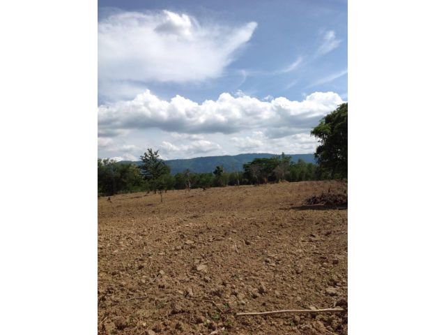 ขายที่เขาใหญ่ 25 ไร่ โป่งตาลอง ปากช่อง ใกล้ Toscana 3 กม. อยู่เส้น 3052 วิวเขาใหญ่สวยมาก ท้ายที่ติดลำราง เหมาะลงทุนทำโคร