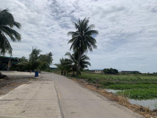 ขายที่ดินแปลงสวยราคาถูกติดคอนกรีต ถนนศาลายามหิดล วัดนราภิรมย์ คลองพระมอ ราคาถูกที่สุดในเขตนี้ใกล้แหล่งชุมดชน คอนกรีต เนื