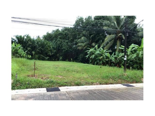 ขายที่ดินมุดดอกขาว17ไร่