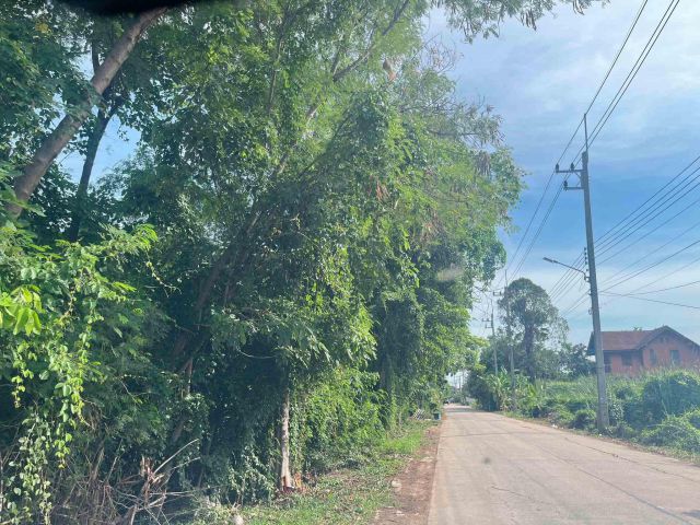 ขายที่ดิน 135 ตรว. 17,000/ตรว. ซอยดาวทอง 1 ติดโรงเรียนกาญจนาภิเษกราชวิทยาลัยนครปฐม