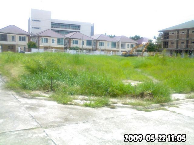 ขายทื่ดินเปล่า 209 ตร.วา ซ.ศรีนครินทร์61 (N.695)
