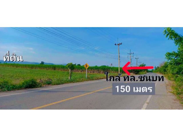 ที่ดินโฉนดแบ่งขาย 100 ตรว.- 2ไร่ (สด-ผ่อน) เหมาะสร้างบ้านสวน น้ำไฟถนนสาธารณะพร้อม ไม่เปลี่ยว