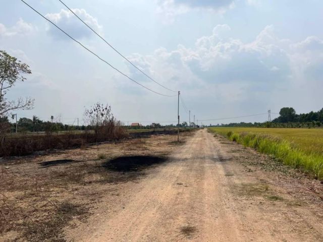 ขายที่ดินบึงบอน 1 ไร่ ใกล้ถนนเส้น 3221 - 200 เมตร อ.หนองเสือ จ.ปทุมธานี