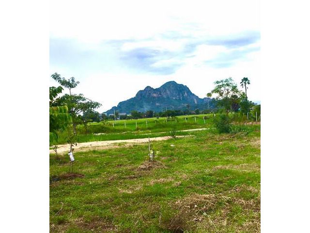 ขายที่โฉนดวิวเขานางพันธุรัต ต.ชะอำ อ. ชะอำ จ. เพชรบุรี จำนวน 2 ไร