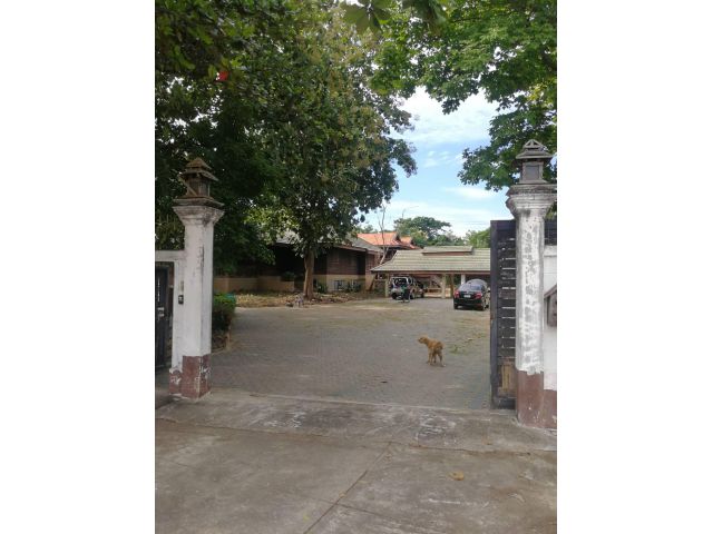 **ประกาศ** ขายที่ดินสวย 4ไร่ - 3งาน - 1 ตร.วา ใจกลางเมืองลำพูน