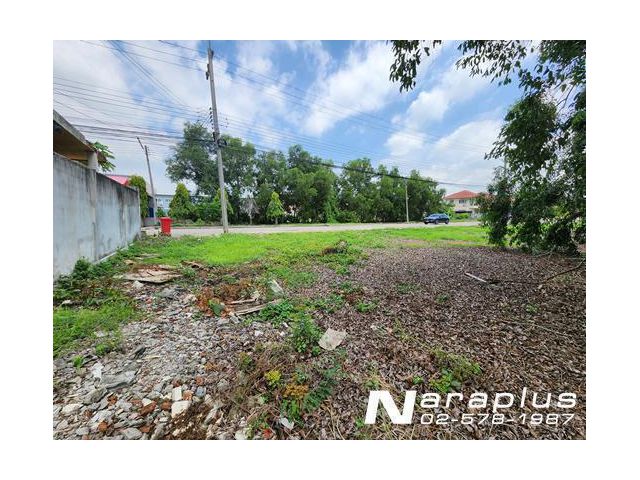 Listing. : 66060378   ขายที่ดินจัดสรร แปลงสวย  ขนาด  159.2  ตรว. ม.เทพธารินทร์ ถนนรังสิต – นครนายก คลอง  11   อ.ธัญบุรี