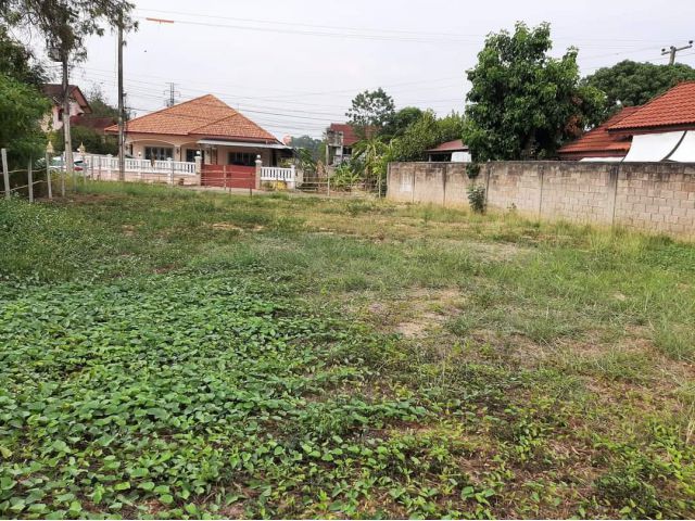 ขายที่ดินสารภีหนองผึ้งติดถนนสองด้านโฉนดพร้อมโอน