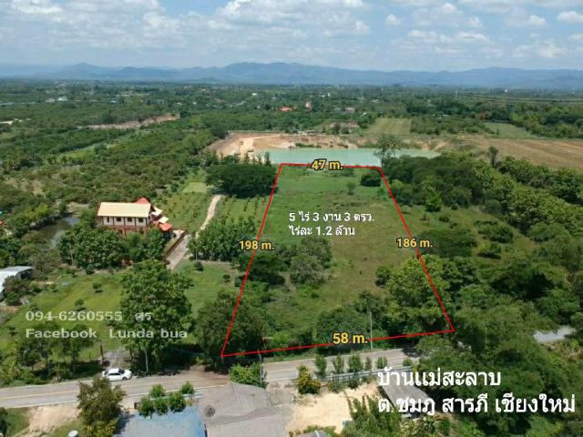 ที่ดินบ้านแม่สะลาบ ต.ชมพู  อ.สารภี เชียงใหม่ เนื้อที่  5-3-3 ไร่ ขายไร่ละ 1.2 ล้าน รวมค่าโอน พื้นที่เป็นสวนลำไย น้