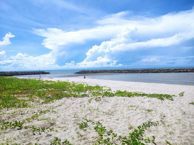 เสนอขายที่ดิน ติดทะเล หาดทรายขาว