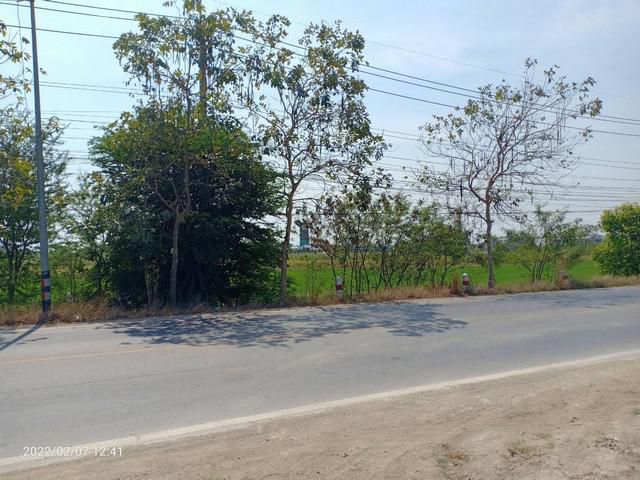 เสนอขายทีดิน 57 ไร่   ที่ดินคลอง 5 รังสิตนครนายก