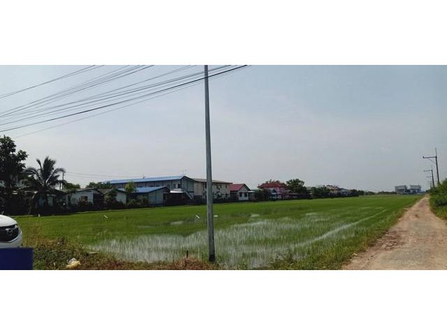 เสนอขายทีดิน 22 ไร่  ที่ดินคลอง 6