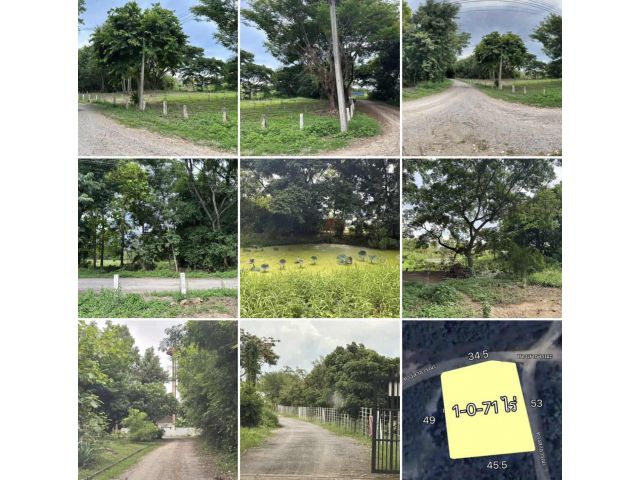ขายที่ดิน 1-0-71 ไร่ พร้อมต้นสักปลูกใหม่ 120 ต้น ท่าวังตาล อ.สารภี ใกล้เมืองเชียงใหม่