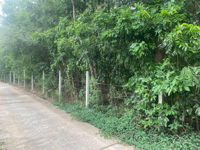 ขายที่ดินท่าถ่านถมแล้ว 1 ไร่ ติดถนนคอนกรีต ใกล้ถนนเส้น 3046 - 90 เมตร พนมสารคาม ฉะเชิงเทรา