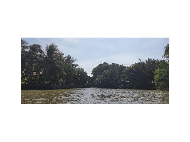 ขายที่ดินริมน้ำ ที่ดินติดแม่น้ำเจ้าพระยา บางกระเจ้า ที่ดินเกือบ 7 ไร่ ติดแม่น้ำเจ้าพระยา ใกล้ถนนเพชรหึงษ์ บางกอบัว 087-9