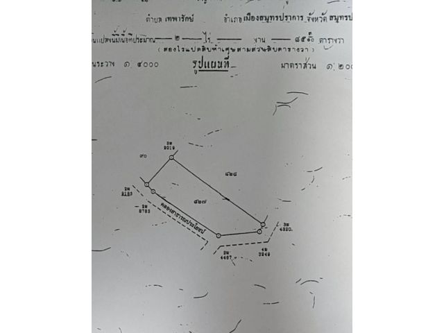 ที่ดินว่างเปล่า