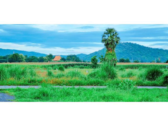 ที่ดินวิวเขาสวย (หลุดจองราคาพิเศษ) สวย บรรยากาศดี น้ำไฟพร้อม