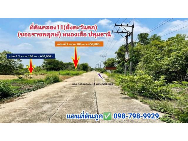 ที่ดินคลอง11(ฝั่งตะวันตก) (ซอยราชพฤกษ์)