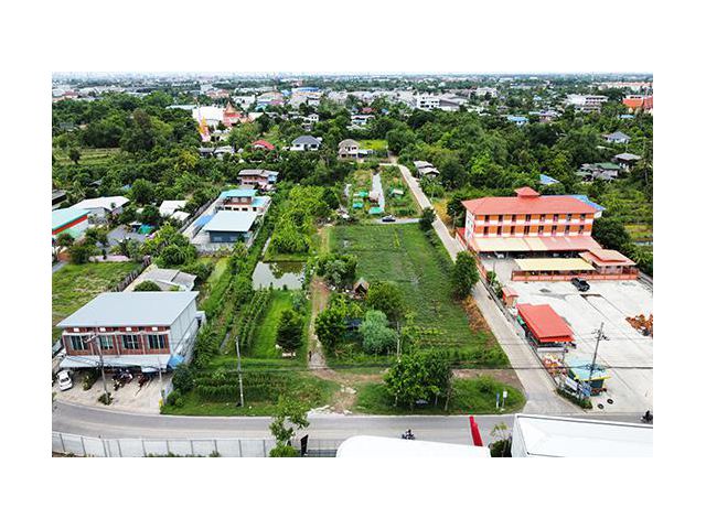ขายด่วน ที่ดินเปล่า 5 ไร่ 3 งาน 80.3 ตร.ว. ติดถนน ซ.วัดส้มเกลี้ยง บางใหญ่