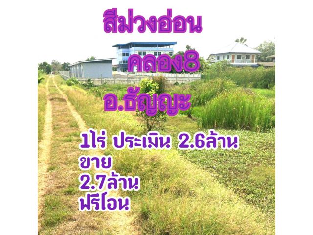 ที่ดินธัญบุรี คลอง8 พิ้นที่สีม่วงอ่อน