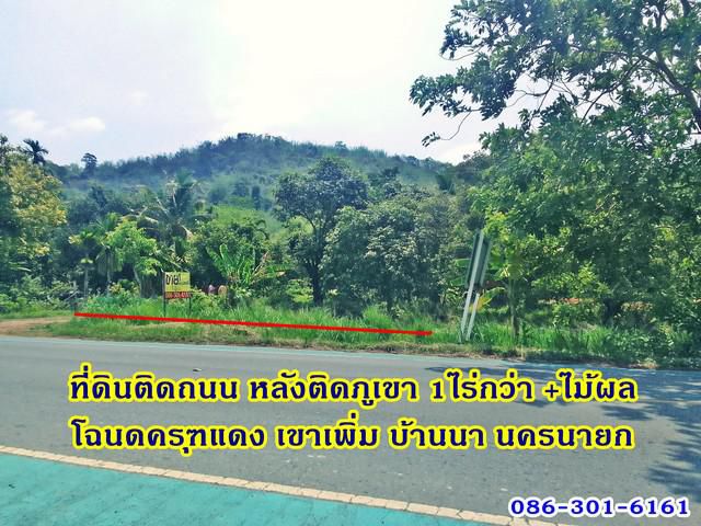 ถูกมาก!ที่ดินพร้อมไม้ผล ติดถนนทางหลวง หลังติดภูเขา1ไร่กว่านครนายก