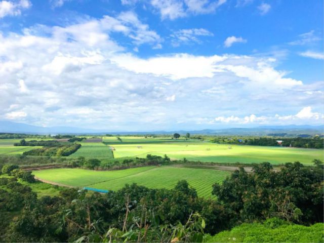 เชียงใหม่ อำเภอไชยปราการ ที่ดินเนินเขา ที่ราบ ที่สวนลำไย ใกล้แหล่งท่องเที่ยว ฮิโนกิแลนด์ เนื้อที่ 213 ไร่ขายถูกด่วน