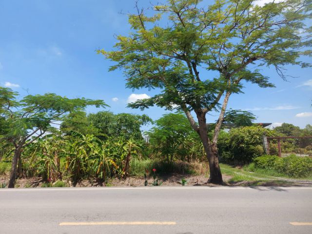 ขายที่ดินหนองจอก ติดถนนผดุงพันธ์-ติดคลองแสนแสบ  เนื้อที่ 5 ไร่  ขายเพียงไร่ละ 5 ล้าน !!! ใกล้ สน.หนองจอก ผังสีเหลือง ย.3
