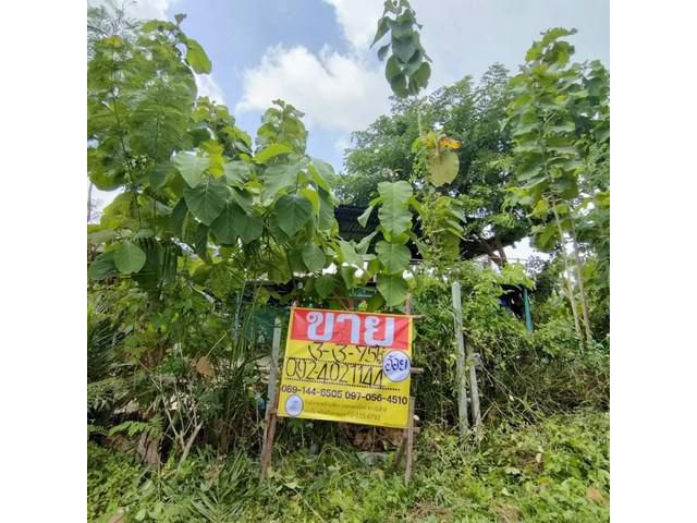 ขายที่ดิน พร้อมสิ่งปลูกสร้าง ติดถนนรัตนาธิเบศร์ ใกล้สายถานีไทรม้า