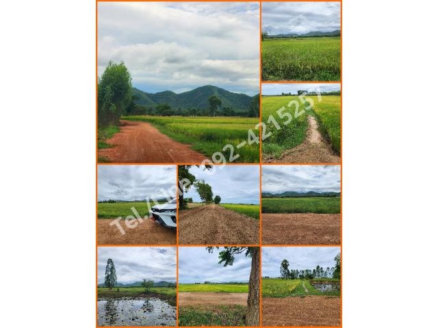 ขายที่นา วิวภูเขา ผังเมืองสีม่วง อ.เขาย้อย จ.เพชรบุรี