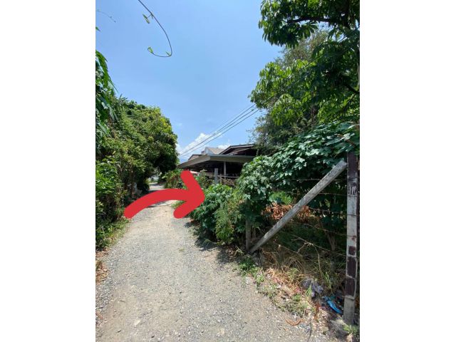 Land for sale near Nimman