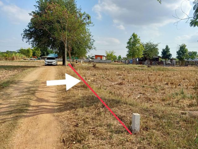ขายที่นา ไฟฟ้าเข้าถึง บ้านแดงน้อย ใกล้ชุมชน 3ไร่ ต.บ้านทุ่ม อ.เมือง ขอนแก่น