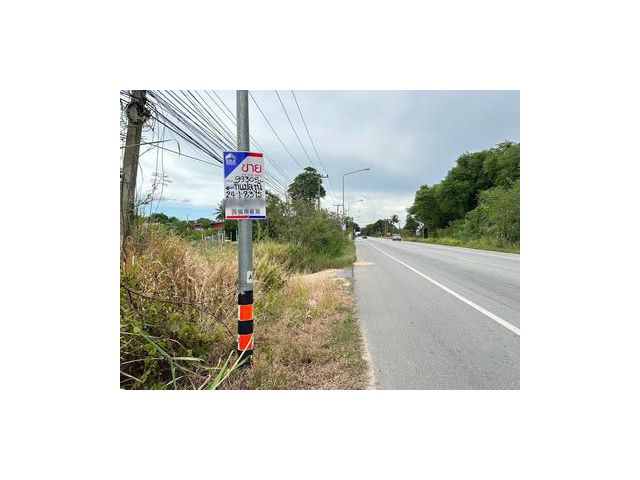 ที่ดิน ตำบลพนานิคม อำเภอนิคมพัฒนา จ.ระยอง