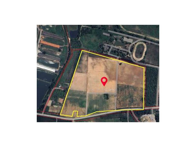 ที่ดิน 85 ไร่ 1 งาน 11 ตารางวา ท่าบุญมี  เกาะจันทร์ จ.ชลบุรี