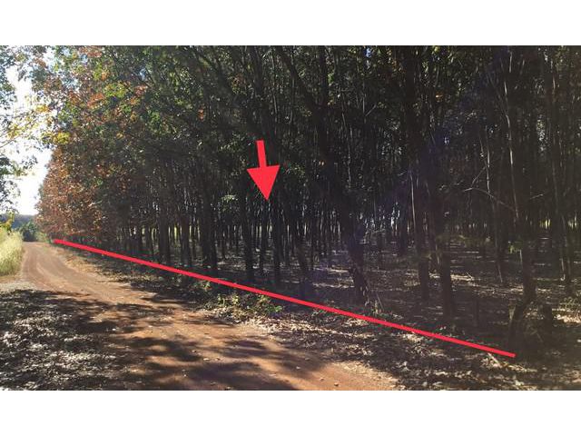 ขายที่ดินว่างเปล่า  อำเภอสว่างแดนดิน สกลนคร