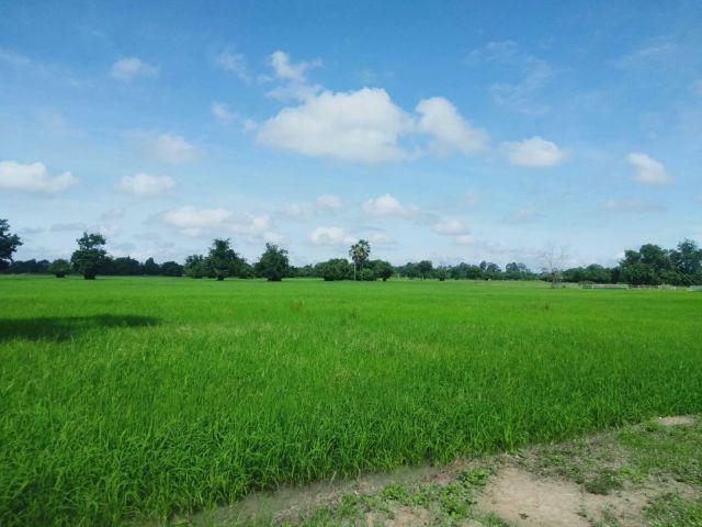ขายที่ดินบ้านนา 6 ไร่ ติดคลอง ใกล้ถนนเส้นบ้านนา-แก่งคอย 3222 - 2 กม. จ.นครนายก