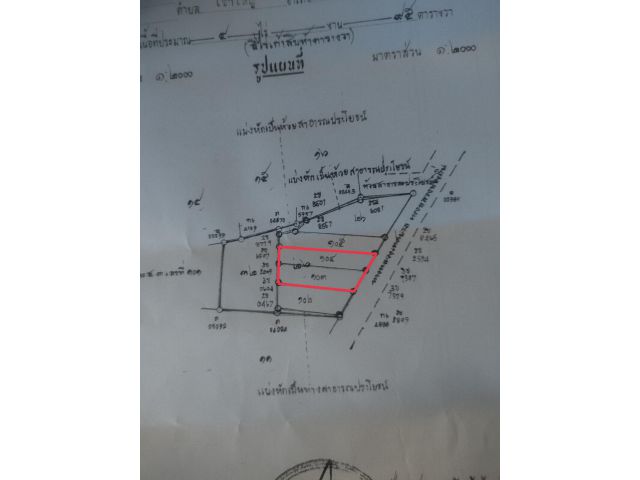 ขายที่ดิน ชะอำ ครุฑแดง 2 แปลง 1 ไร่ ใกล้ทะเล 9 กม.