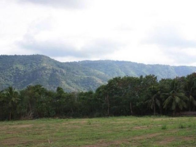 ขายที่เขาใหญ่ หมูสี 5 ไร่ ท้ายที่ติดน้ำ อยู่เส้น 3052 ใกล้ ทอสคาน่า 1.2 กม. ที่เขาใหญ่ติดน้ำ วิวเขาสวย ใกล้อุทยานเขาใหญ่