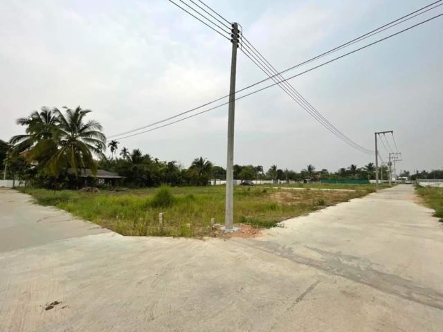 ขายที่ดินติดถนนสามด้านบ้านป่าเหมือดป่าไผ่สันทรายพร้อมโอน
